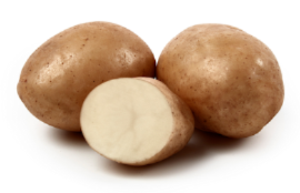 Maris Bard Sättpotatis