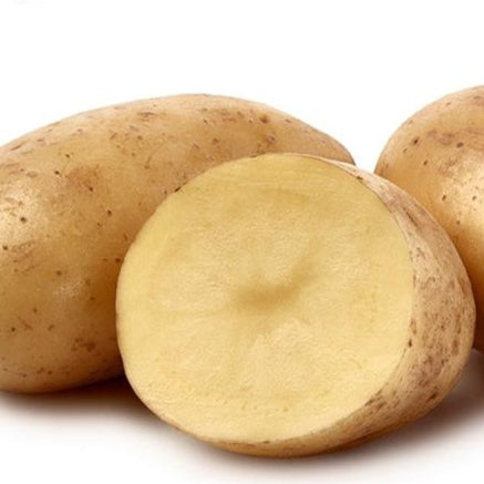 Taisiya sättpotatis