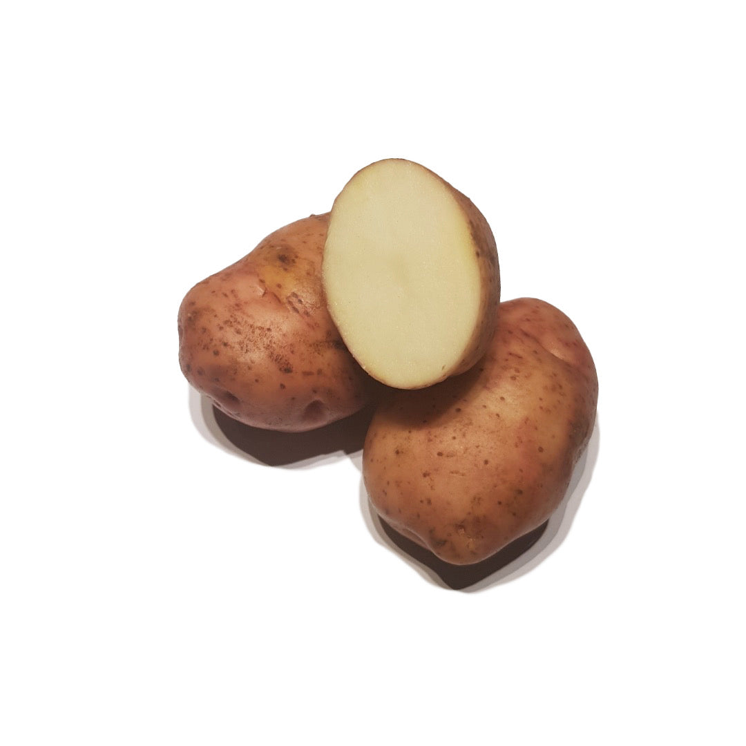 Early Rose Sättpotatis